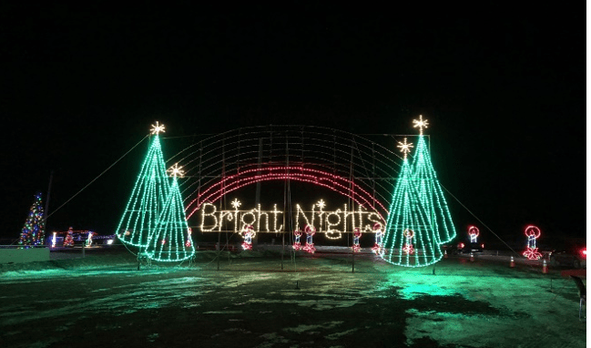 Dark sky with bright christmas lights displaying four christmas trees and the words bright nights