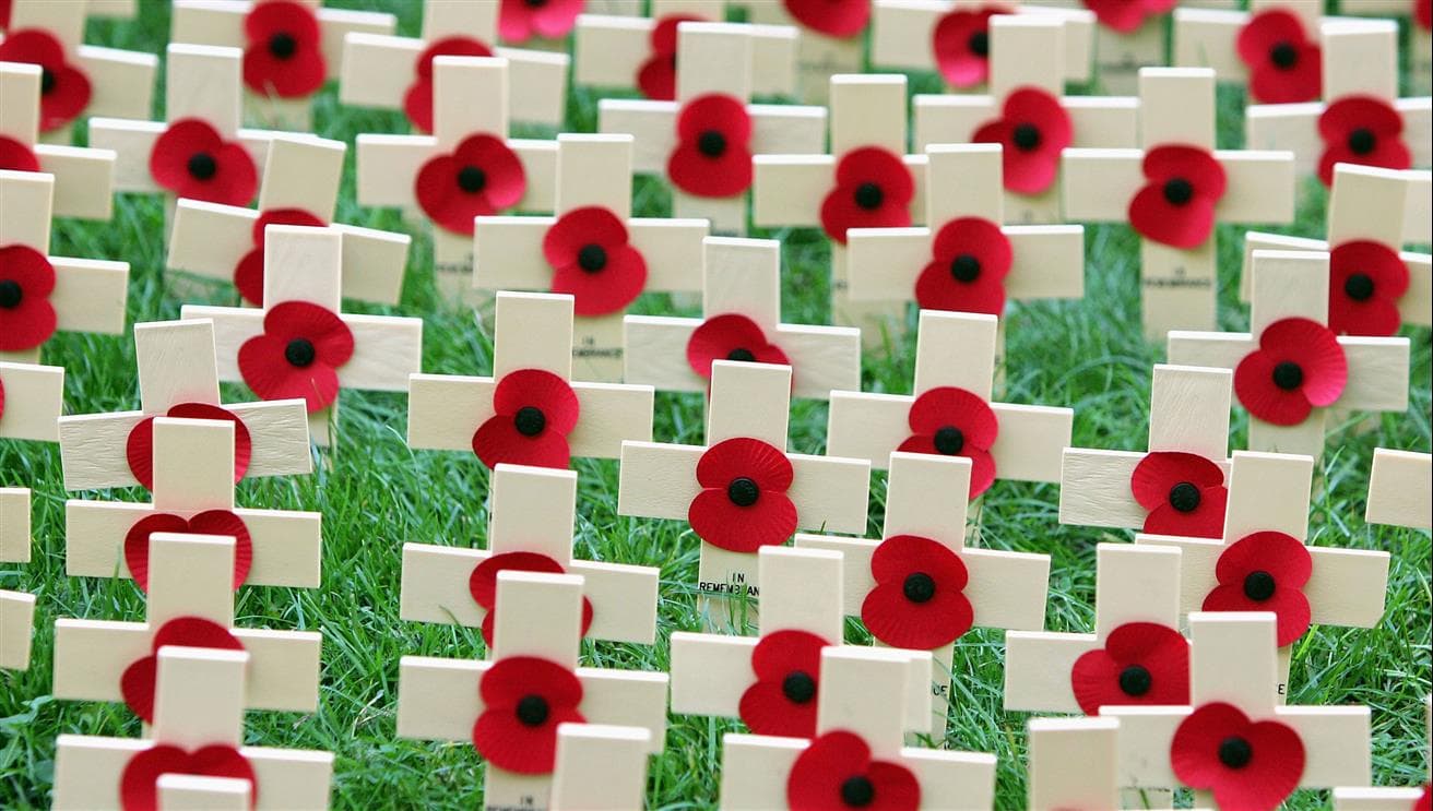A poppy and a cross for Remembrance Day.