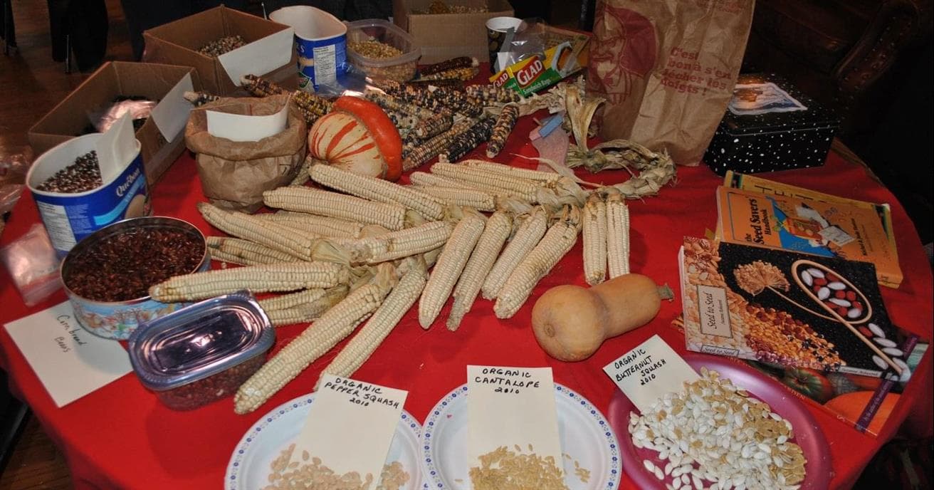 Une table ronde couverte d'une nappe rouge. Différents légumes, comme des épis de maïs et des courges, semences et livres sur les semences se trouvent sur la table. 