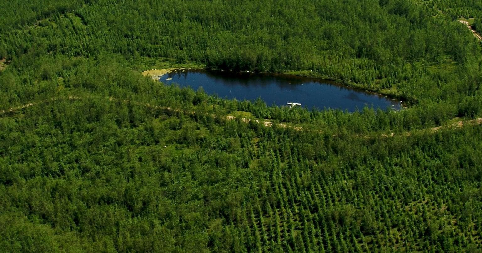 An aerial photo of a lake surrounded by green trees.