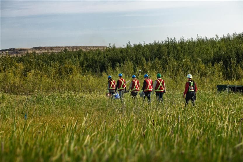 Five researchers and a wildlife management contractor walking in Nikanotee Fen. They are wearing hard hats and safety vests.